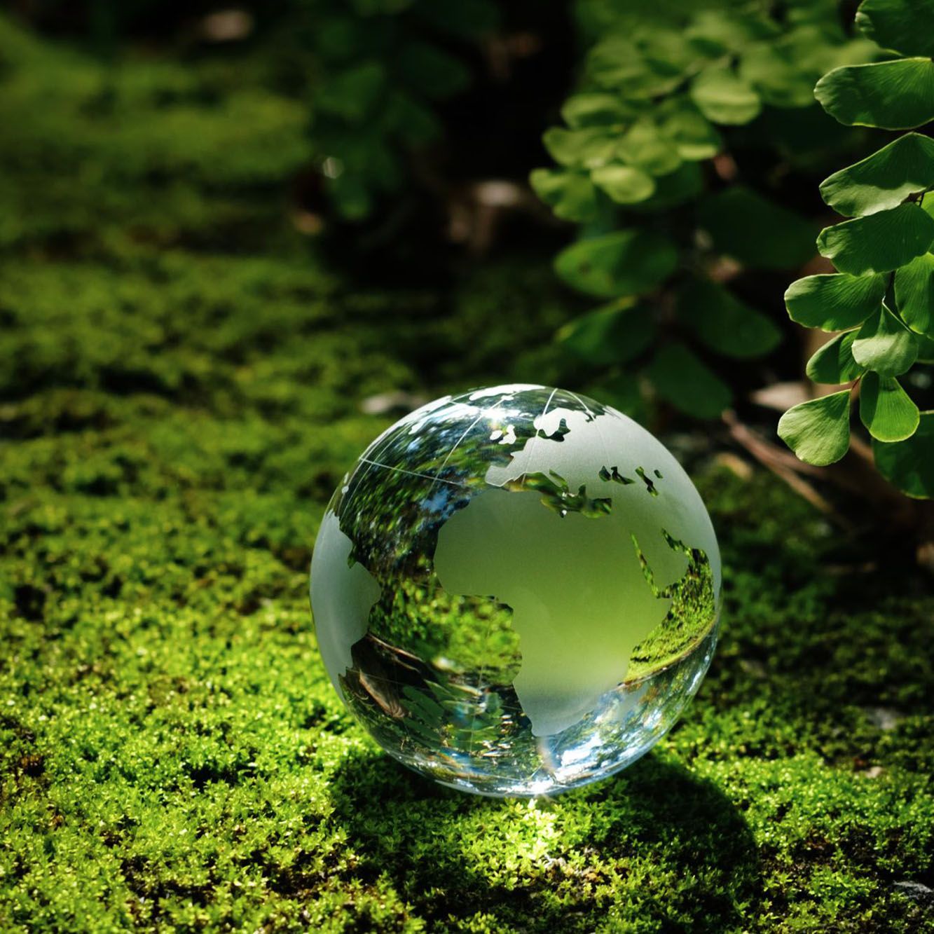 Découvrir l'hôtel Kyriad Lannion